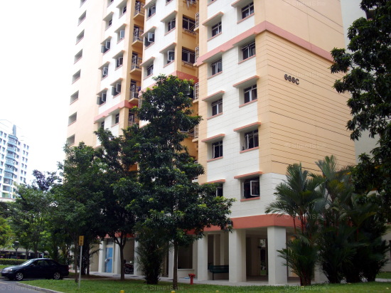 Jurong West Street 64 thumbnail photo